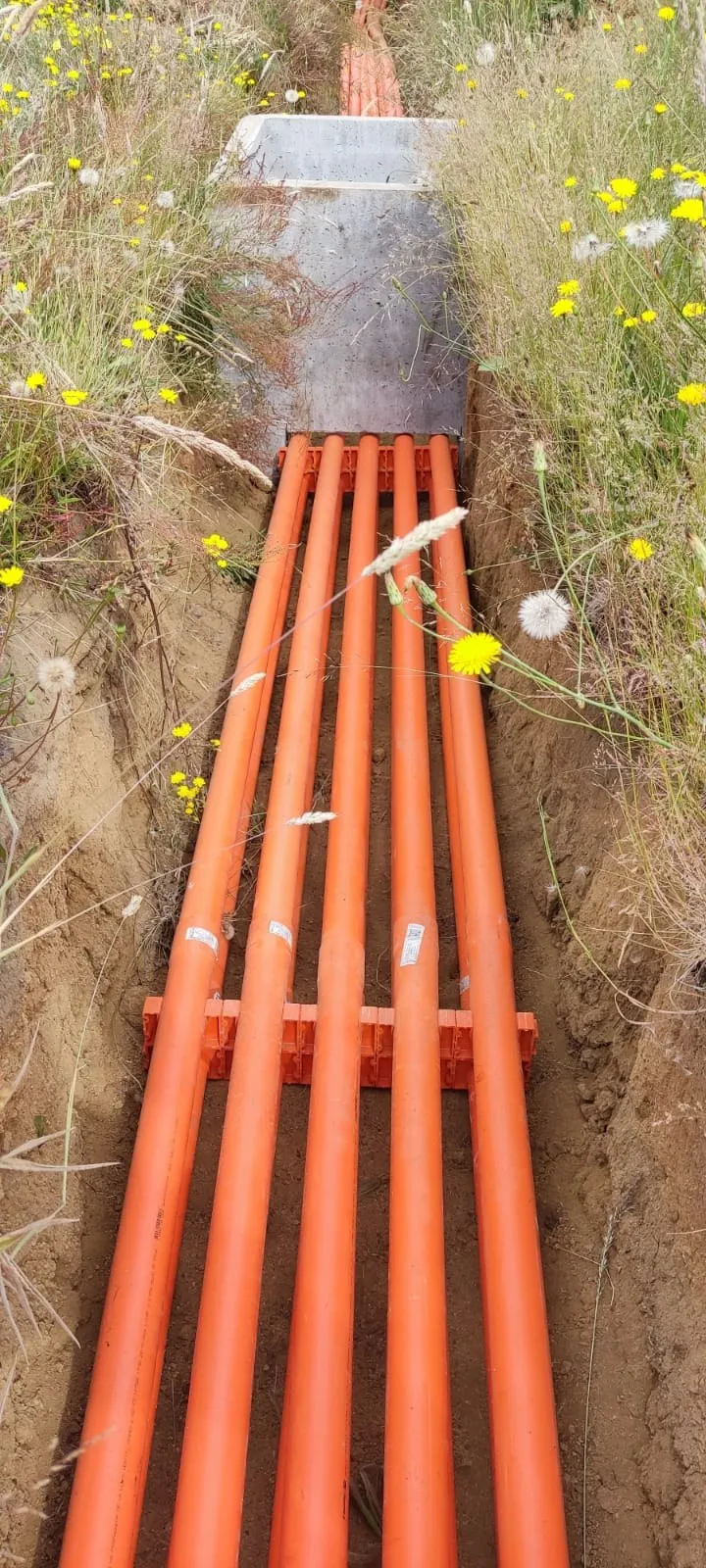 Tendido de ductos subterráneos en zanja con flores silvestres, proyecto de distribución
